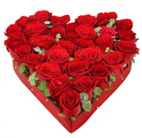 Heart-shaped Arrangement of 24 Roses in Red